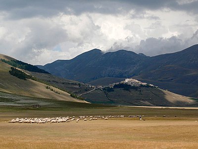 Piani di Castelluccio