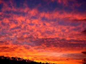 夕焼けの蜂の巣状雲