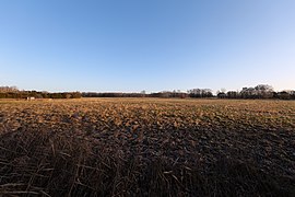 Fields in Luckenwalde 2022-01-21 03.jpg
