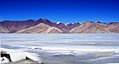 Frozen, Pangong Tso