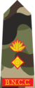 Lt. Colonel