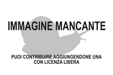 Immagine di Okenia eolida mancante