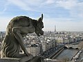 Image 27View from Notre-Dame de Paris.