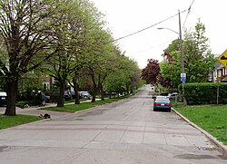 Strathearn Road in Cedarvale