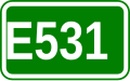 E531 shield