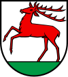 Wappen von Hirschthal