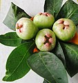 Fruit with leaves