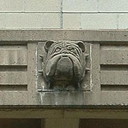 Gárgola de un bulldog en la sala de prensa.