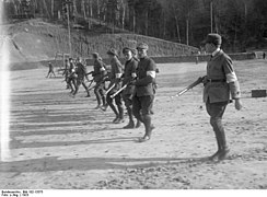 Bundesarchiv Bild 102-13375, Neustadt, Geländeübung der SA.jpg