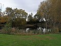 Cratère de mine à St-Éloi. Le cratère est aujourd'hui une marre entre des terrains privés, où il est possible d'accéder à partir de la route.