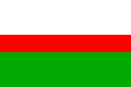 Vlajka Horní Břízy