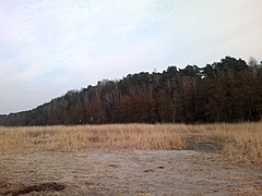 G. Ladushkin, Kaliningradskaya oblast', Russia - panoramio (1).jpg