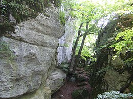 Gespaltener Fels (1000,1 m) auf dem Schafberg