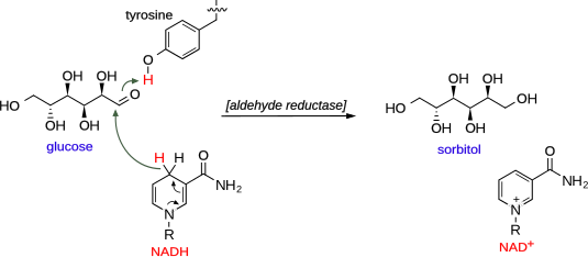 Mechanism of glucose aldehyde reduction into sorbitol