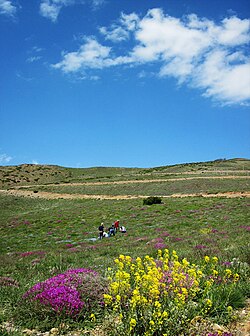 ذخیره‌گاه زیست‌کره توران