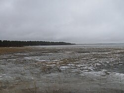 Järvinäkymä länsirannalta Velholanperälle toukokuussa 2010.