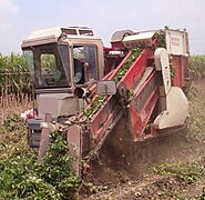 Track-type peanut harvester