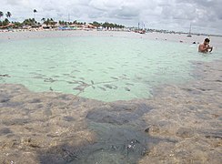 Playa de Porto de Galinhas - 65 km Sur