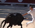 Course camarguaise