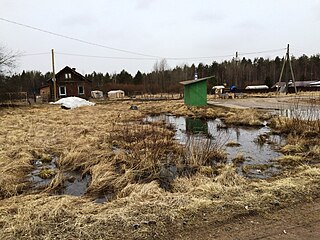 Посёлок Шушино. 2020 год