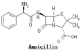 アンピシリン