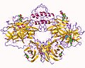 Vignette pour Dopamine bêta-hydroxylase