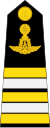 Lieutenant Colonel