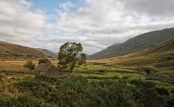 Connemara National Park in Octobe Photograph: Oliver Gargan