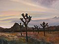 Joshua Tree Evening by David Fairrington, oil, 2001.