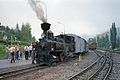 Einer der ersten Dampfbummelzüge im Kapfenberger Landesbahnhof (1991)