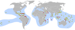 Área de distribución de la especie y lugares de puesta.[2]​ Rojo: Principales. Amarillo: Otros.