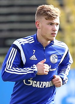 Image illustrative de l’article Max Meyer