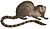 Two-spotted palm civet