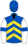 Royal blue, yellow chevrons, white sleeves, blue armlets