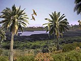 ’n Digitale herskepping van Paaseiland se antieke landskap, met tropiese woude en palmbome.