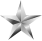 Award Star (silber)