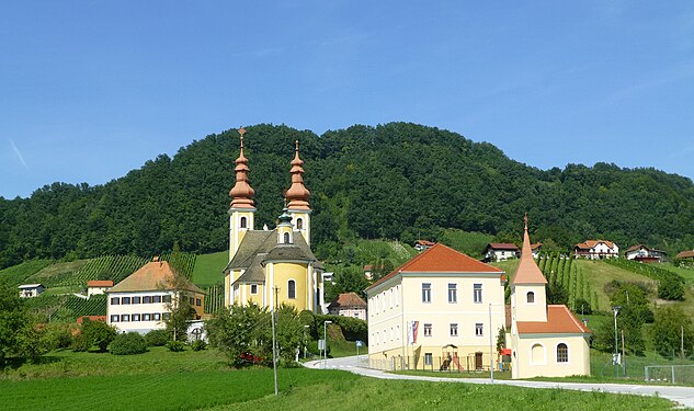 Vineyards in Haloze region (north of Šmarje).