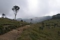 Horton plains