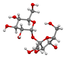 Ball-and-stick model of sucrose