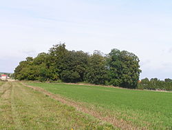 Skyline of Poix (Marne)