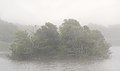 Image 89An island (with ospreys) in Trustom Pond in the fog