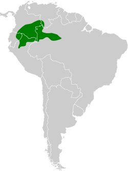 Distribución geográfica del trepatroncos ocelado septentrional.