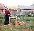 Breaking flax in Russia, 1910