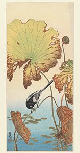 Wagtail and Lotus, between 1912 and 1918, woodblock print, 37.7 × 16.4 cm. Brooklyn Museum