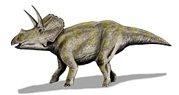 Az Eotriceratops rekonstrukciója