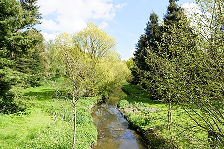 La Chézine avant son passage dans le parc de Procé.