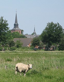 Skyline of Oldenswort