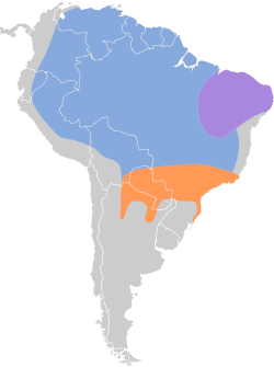 Distribución geográfica del semillero overo.