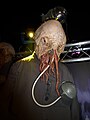 Ood.