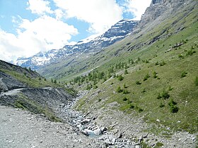 Vue du Ribon.